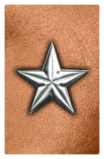 DF35T 430 SL CP Star Silver Copper